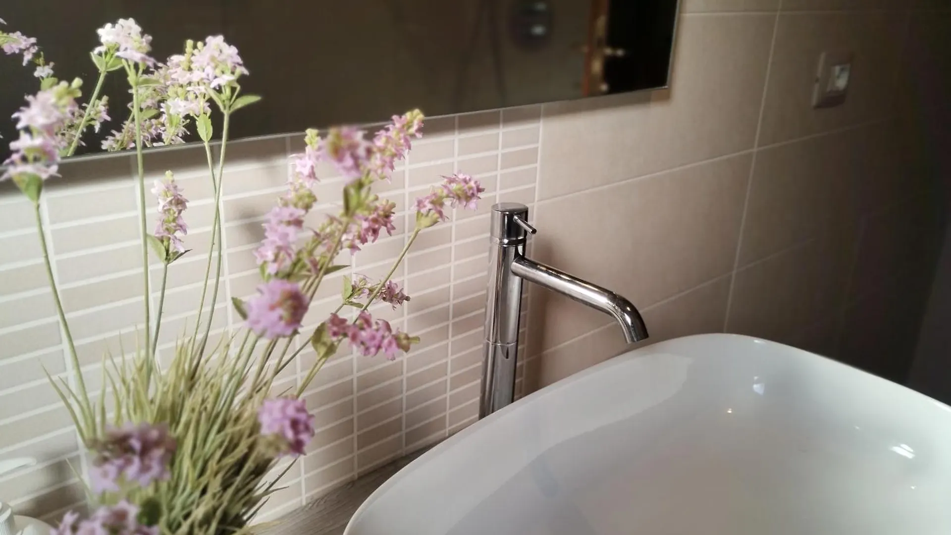 Gli Oleandri Villa Torri Del Benaco Tatil Evi