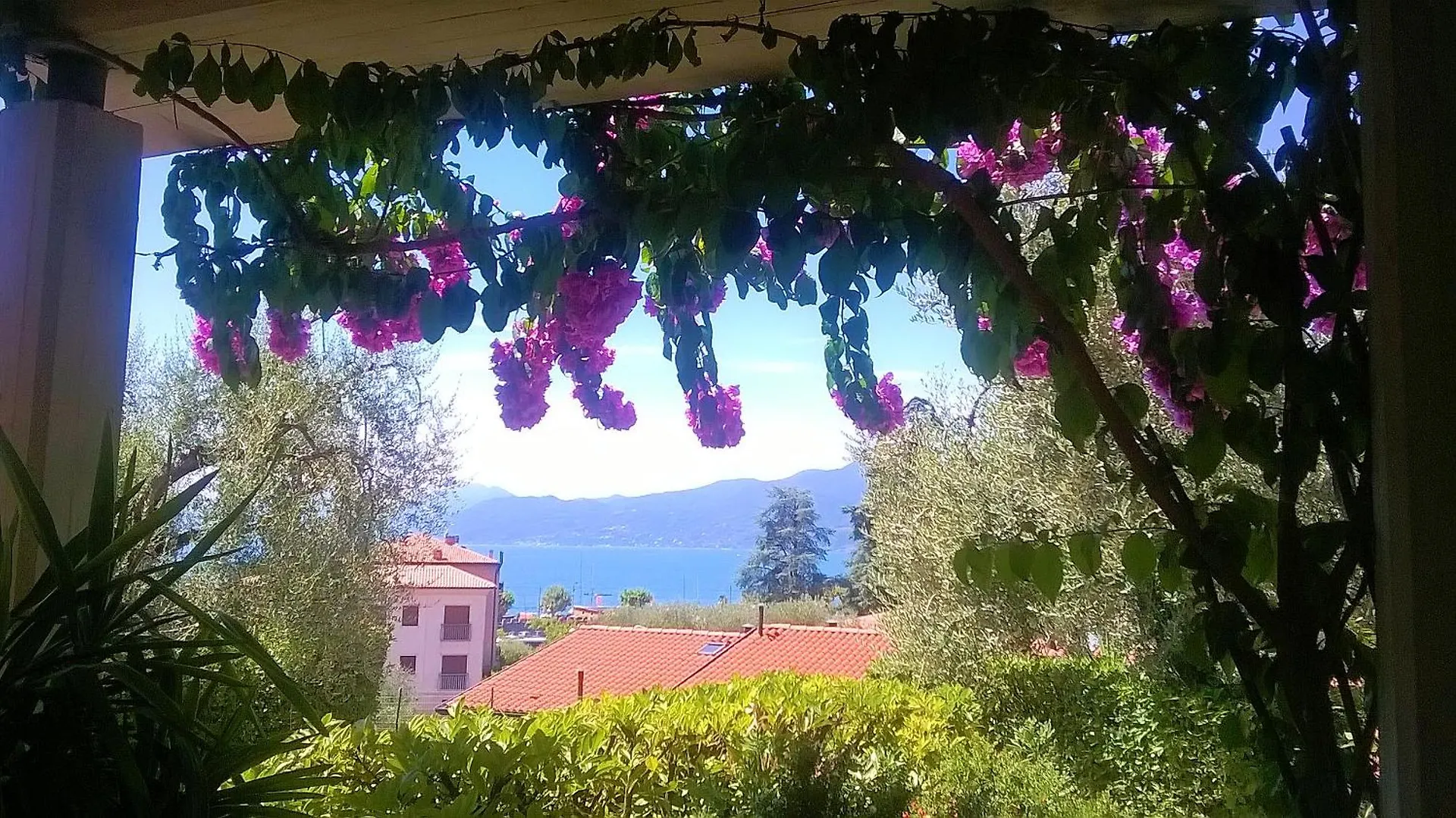 Gli Oleandri Villa Torri Del Benaco İtalya